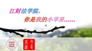 江财 法学院 ， 你是 我 的 小 苹 果 ……