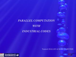 PARALLEL COMPUTATION WITH INDUSTRIAL CODES