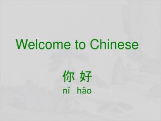 Welcome to Chinese 你 好 nǐ hǎo