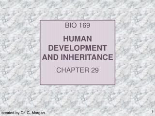 BIO 169 HUMAN DEVELOPMENT AND INHERITANCE CHAPTER 29