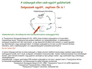 A szúnyogok ellen csak együtt győzhetünk