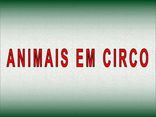 ANIMAIS EM CIRCO