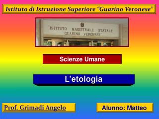 Istituto di Istruzione Superiore “ Guarino Veronese”