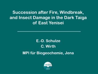 Successional dynamics of the dark taiga