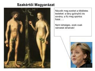 Szakértői Magyarázat