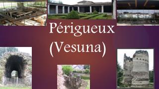 Périgueux (Vesuna)