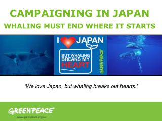 CAMPAIGNING IN JAPAN WHALING MUST END WHERE IT STARTS