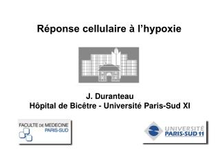 J. Duranteau H ôpital de Bicêtre - Université Paris-Sud XI