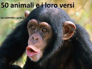 50 animali e i loro versi La scimmia ( grida )