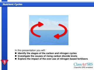 In this presentation you will: Identify the stages of the carbon and nitrogen cycles