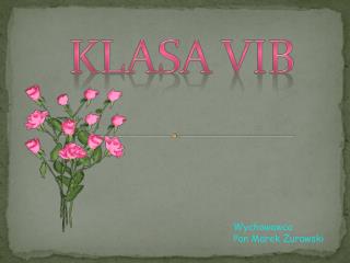 KLASA vib