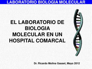 EL LABORATORIO DE BIOLOGIA MOLECULAR EN UN HOSPITAL COMARCAL