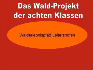 Das Wald-Projekt der achten Klassen