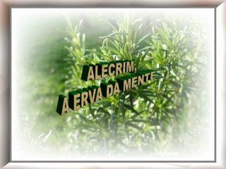 Chá de alecrim! ‏