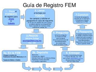 Guía de Registro FEM