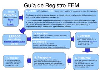 Guía de Registro FEM