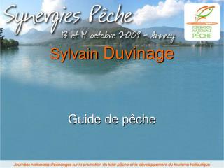 Sylvain Duvinage