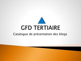 GFD TERTIAIRE