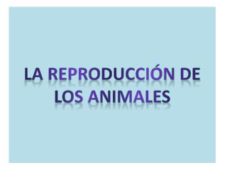 LA REPRODUCCIÓN DE LOS ANIMALES