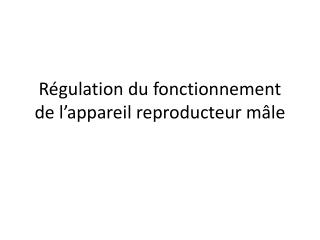 Régulation du fonctionnement de l’appareil reproducteur mâle