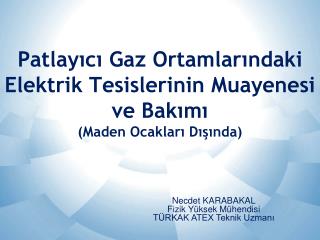 Patlayıcı Gaz Ortamlarındaki Elektrik Tesislerinin Muayenesi ve Bakımı (Maden Ocakları Dışında)