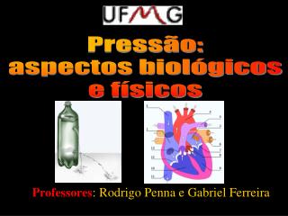 Professores : Rodrigo Penna e Gabriel Ferreira