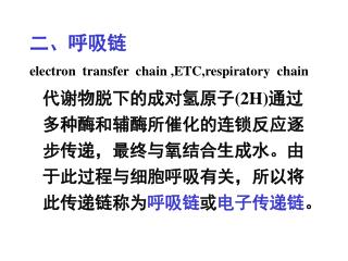 二、呼吸链 electron transfer chain ,ETC,respiratory chain