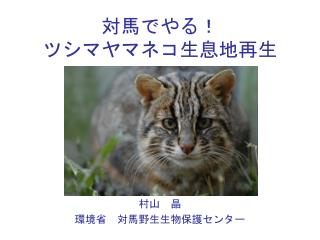 対馬でやる！ ツシマヤマネコ生息地再生