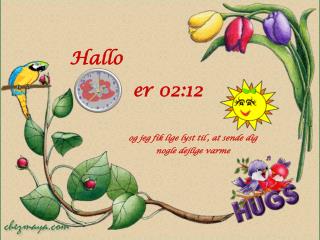Hallo er 02:12