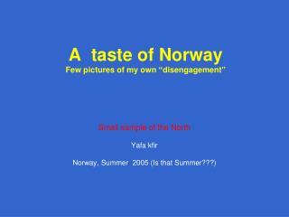 A taste of Norway Few pictures of my own “disengagement”