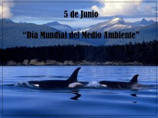 5 de Junio “Día Mundial del Medio Ambiente”