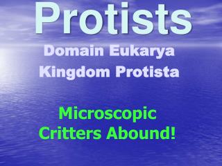 Protists