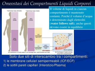 Omeostasi dei Compartmenti Liquidi Corporei