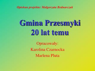 Gmina Przesmyki 20 lat temu