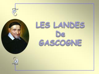 LES LANDES De GASCOGNE