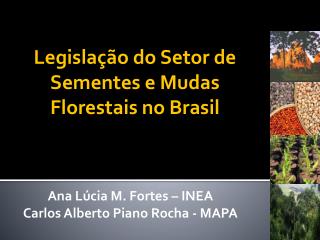 Legislação do Setor de Sementes e Mudas Florestais no Brasil