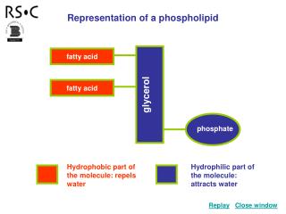 glycerol