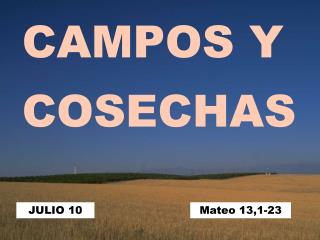 CAMPOS Y COSECHAS