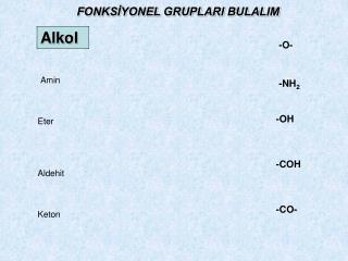 Alkol