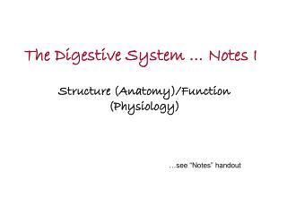 The Digestive System … Notes I