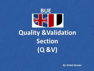 Quality &amp;Validation Section (Q &amp;V)