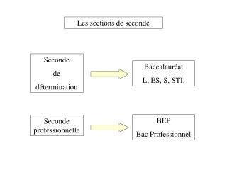 Les sections de seconde