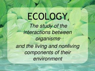 ECOLOGY