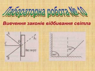 Лабораторна робота № 10