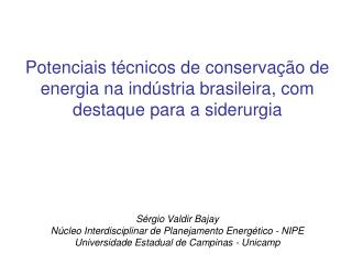 Sérgio Valdir Bajay Núcleo Interdisciplinar de Planejamento Energético - NIPE