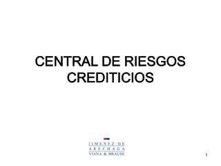 CENTRAL DE RIESGOS CREDITICIOS