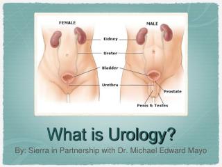 What is Urology?