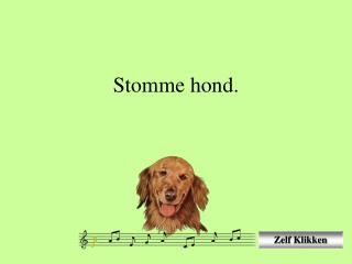 Stomme hond.
