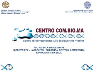 APQ RICERCA-PROGETTO P5