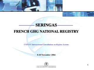 SERINGAS FRENCH GHG NATIONAL REGISTRY UNFCCC Intersessional Consultations on Registry Systems